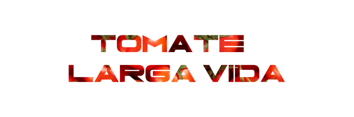 gallery/tomate larga vida