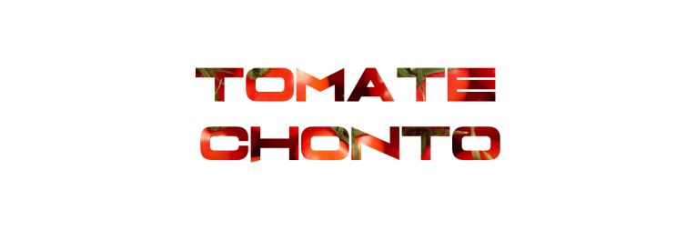gallery/tomate chonto